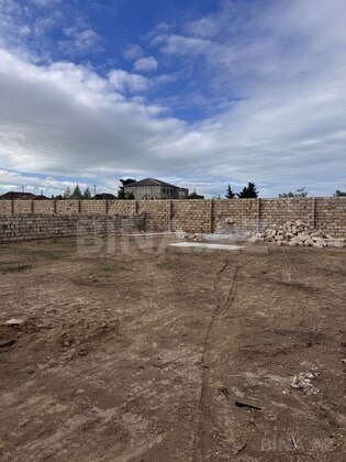 Torpaq Albalılıq q., Bakı