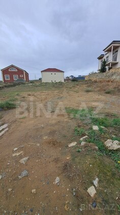 Torpaq Badamdar q., Bakı