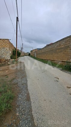 Torpaq Badamdar q., Bakı