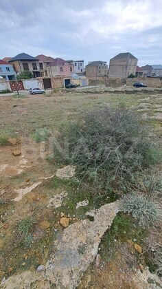 Torpaq Badamdar q., Bakı