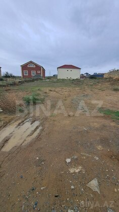 Torpaq Badamdar q., Bakı