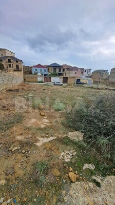 Torpaq Badamdar q., Bakı