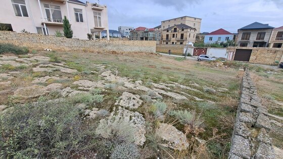 Torpaq Badamdar q., Bakı