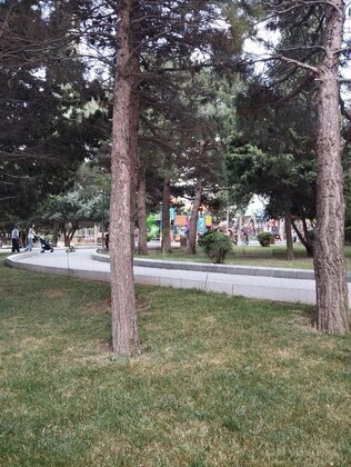 2 otaqlı Köhnə tikili, Yeni Yasamal q., Bakı
