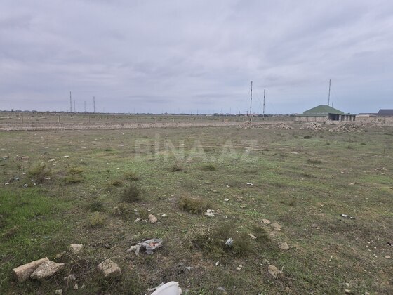Torpaq Şüvəlan q., Bakı