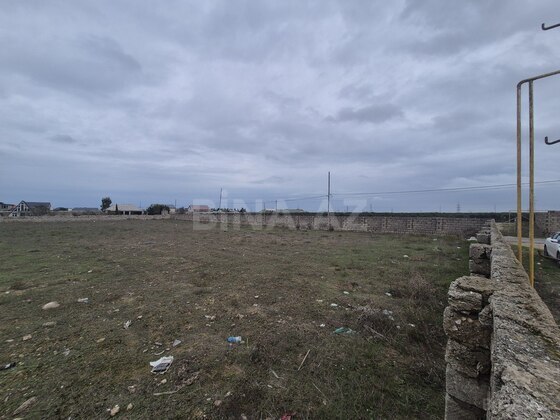 Torpaq Şüvəlan q., Bakı
