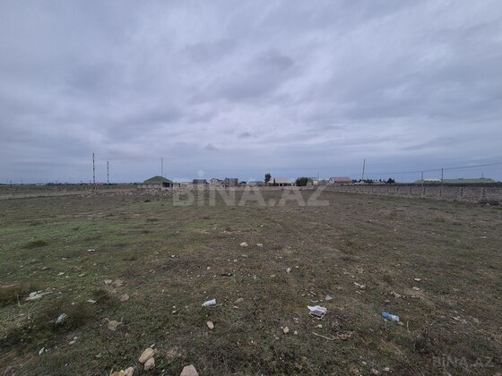 Torpaq Şüvəlan q., Bakı