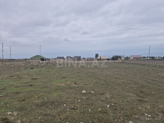 Torpaq Şüvəlan q., Bakı