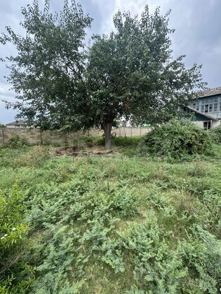 5 otaqlı Həyət evi/Bağ evi, Ağcabədi