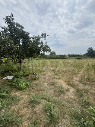 5 otaqlı Həyət evi/Bağ evi, Ağcabədi
