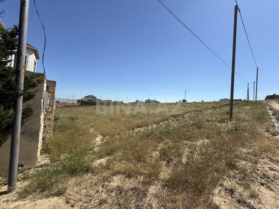 Torpaq Novxanı q., Bakı