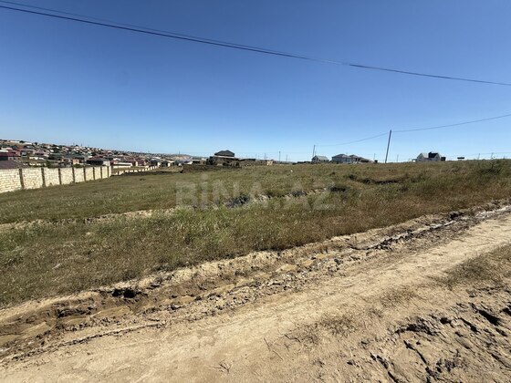 Torpaq Novxanı q., Bakı