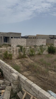 Torpaq Binə q., Bakı
