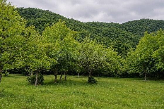 Torpaq Qəbələ