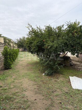 4 otaqlı Həyət evi/Bağ evi, Albalılıq q., Bakı