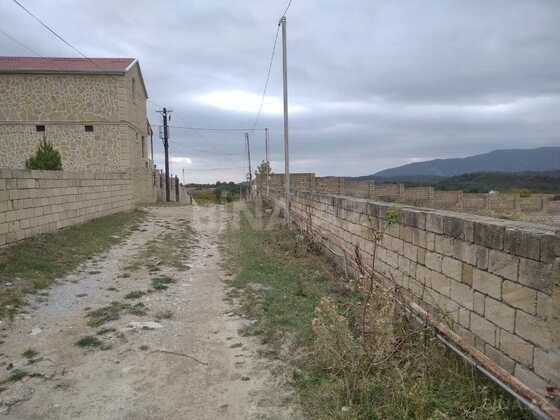 Torpaq Şamaxı