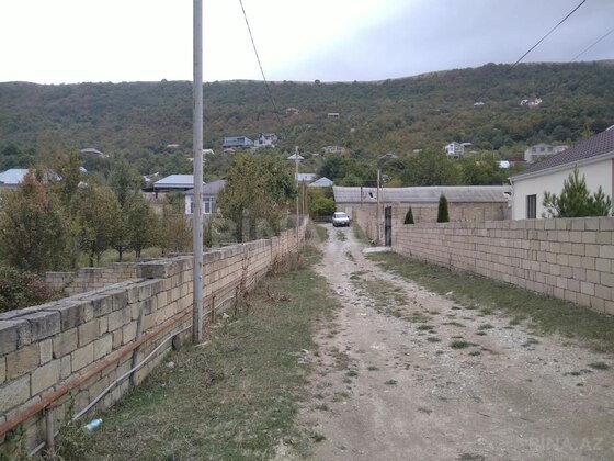 Torpaq Şamaxı