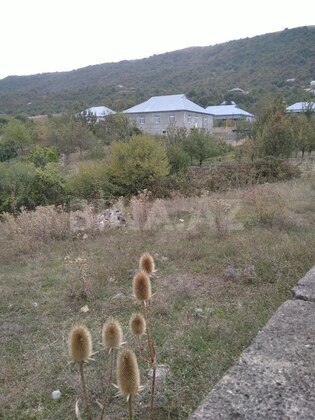 Torpaq Şamaxı