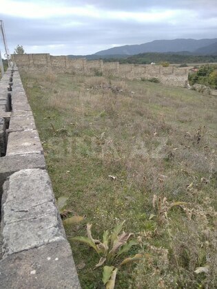 Torpaq Şamaxı