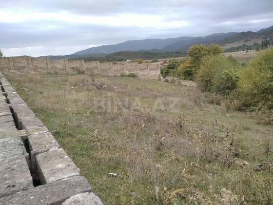 Torpaq Şamaxı