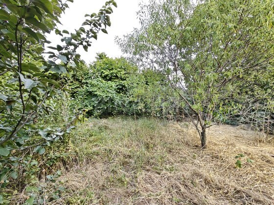 5 otaqlı Həyət evi/Bağ evi, Şamaxı