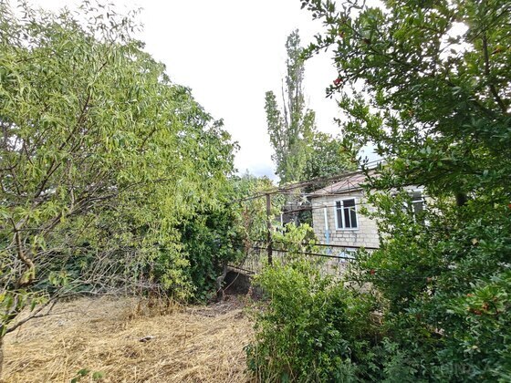 5 otaqlı Həyət evi/Bağ evi, Şamaxı