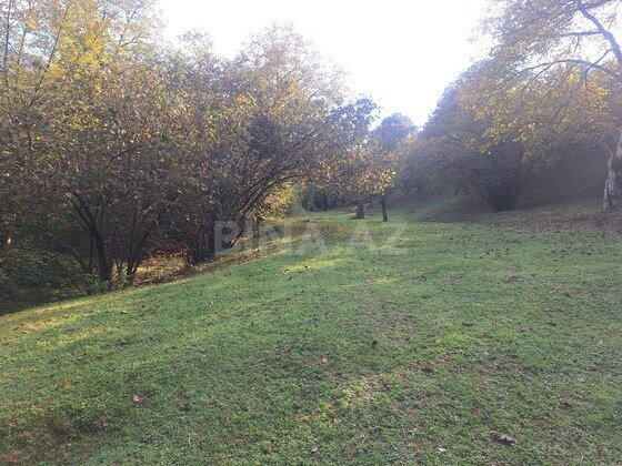 Torpaq İsmayıllı
