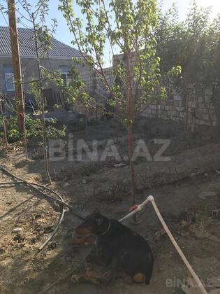 5 otaqlı Həyət evi/Bağ evi, Xırdalan