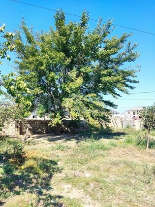 3 otaqlı Həyət evi/Bağ evi, Balaxanı q., Bakı