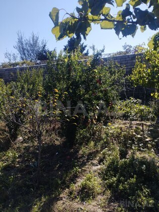 7 otaqlı Həyət evi/Bağ evi, Mərdəkan q., Bakı