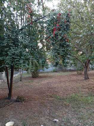 Torpaq Oğuz