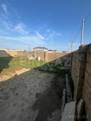 Torpaq Abşeron r., Bakı