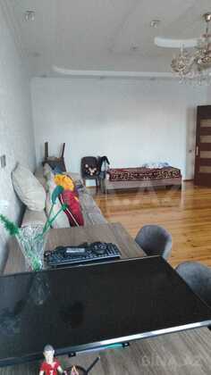 5 otaqlı Həyət evi/Bağ evi, Masazır q., Bakı