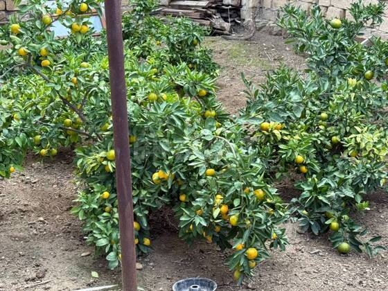 3 otaqlı Həyət evi/Bağ evi, Masazır q., Bakı