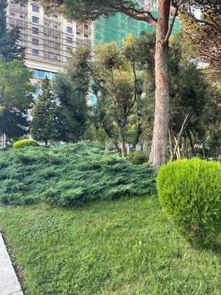 3 otaqlı Yeni tikili, Elmlər Akademiyası m., Bakı