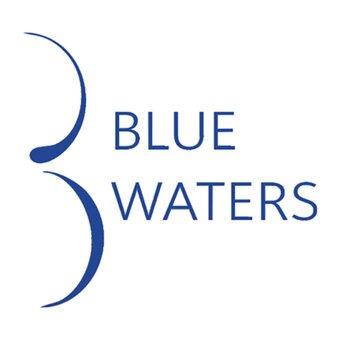 Alians Development лого