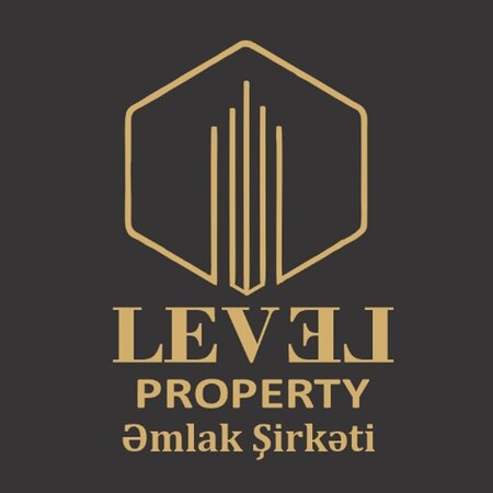 Level Property Logo