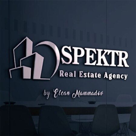 Spektr Real Estate Logo