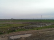 Elan №349333 - Tovuz, Tovuz, 131 sot