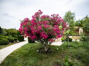 Продаётся  дом/дача 1 000 м², пос. Бильгях, photo 3 from 8