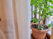 Продаётся 4-комн. новостройка 171 м², Насиминский  р., photo 6 from 8