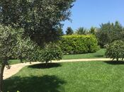 Satılır  torpaq 182 sot, Şüvəlan q., photo 3 from 8