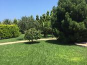 Satılır  torpaq 182 sot, Şüvəlan q., photo 1 from 8