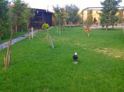 Satılır  həyət evi/bağ evi 800 m², Mərdəkan q., photo 6 from 8