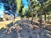 Продаётся 4-комн. дом/дача 600 м², пос. Зире, photo 4 from 8