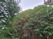 Satılır  torpaq 5 sot, Yasamal q., photo 8 from 8