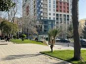 Elan №2727639 - Bakı, Nəsimi r., 115 m²