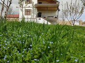 Сдаётся 8-комн. дом/дача 242 м², photo 7 from 8