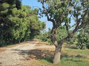 Satılır  obyekt 2 500 m², Maştağa q., photo 5 from 8