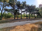 Satılır  obyekt 2 500 m², Maştağa q., photo 7 from 8